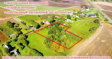 Plot of land in Kurhanski sielski Saviet, Belarus