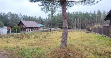 Terrain dans Haranski siel ski Saviet, Biélorussie