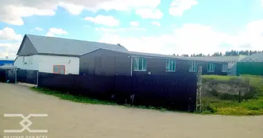 Warehouse 200 m² in Dvorysca, Belarus