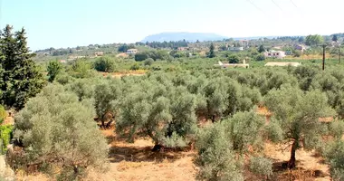 Terrain dans almyrida, Grèce