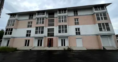 Wohnung 1 Zimmer in Lymanka, Ukraine