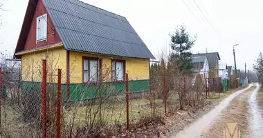 House in Piatryskauski sielski Saviet, Belarus