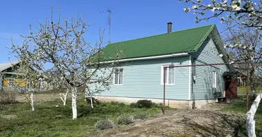 Дом в Великая Липа, Беларусь