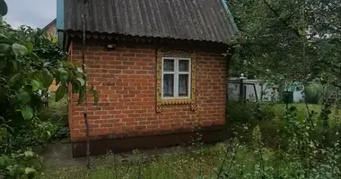 House in Slabadski sielski Saviet, Belarus