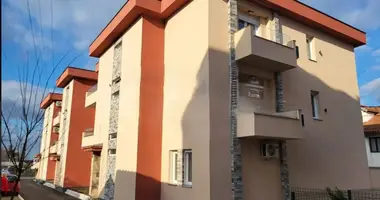 1 bedroom apartment in Belgrade, Serbia