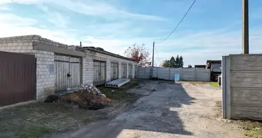 Commercial property 131 m² in Malaya Kolpenica, Belarus