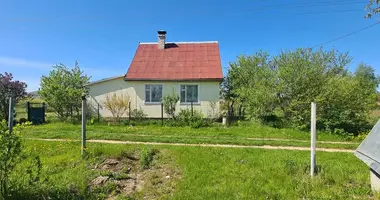 House in Dukorski sielski Saviet, Belarus