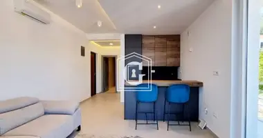 Apartamento 1 habitación en Krasici, Montenegro