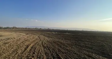 Plot of land in Zemo Teleti, Georgia