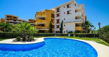 Mieszkanie 2 pokoi w Torrevieja, Hiszpania