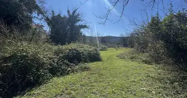 Terrain dans Kuti, Monténégro