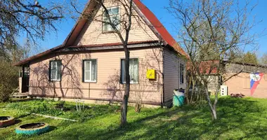 4 room house in Volosovo, Russia