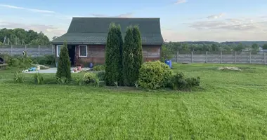 House in Luhavaslabadski sielski Saviet, Belarus