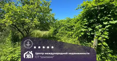 Участок земли в Пригородный сельский Совет, Беларусь