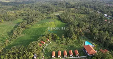 Apartment 14 bedrooms in Antosari, Indonesia