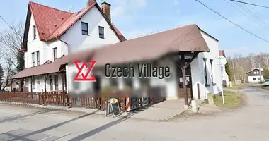 Commercial property 490 m² in Zehrov, Czech Republic