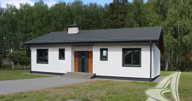 House in Telminski selski Savet, Belarus