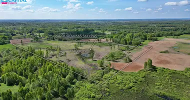 Plot of land in Balkunai, Lithuania