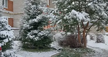 Appartement dans Gorodets, Fédération de Russie