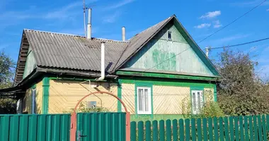 House in Pleshchanitsy, Belarus