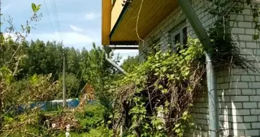 Haus in Zavodskaslabodski sielski Saviet, Weißrussland