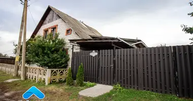 House in Golovincy, Belarus