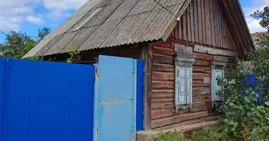 Dom w Pribytkovskiy selskiy Sovet, Białoruś