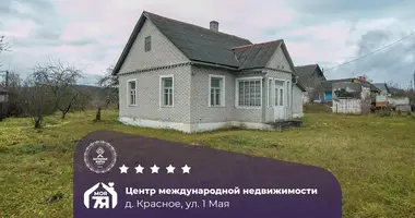 House in Krasnaye, Belarus