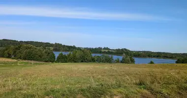 Plot of land in Piestuvenai, Lithuania