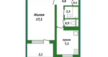 1 room apartment in Minsk, Belarus