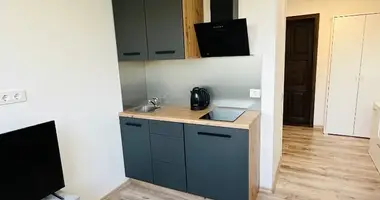 Apartamento 1 habitación en Kaunas, Lituania