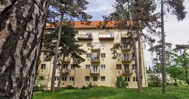 Apartamento 4 habitaciones en Veszpremi jaras, Hungría