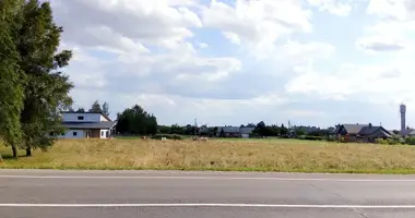 Plot of land in Raseiniai, Lithuania