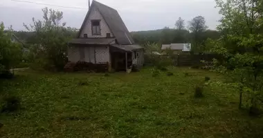 Haus in Rakauski sielski Saviet, Weißrussland