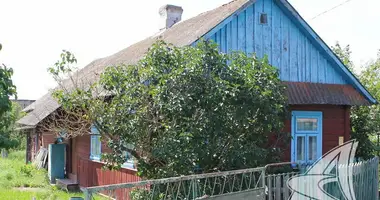 House in Rakitnica, Belarus