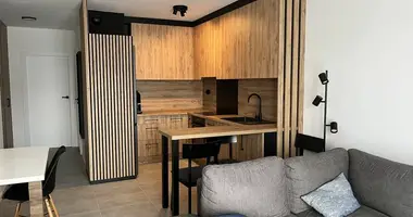 2 room apartment in Krakow, Poland