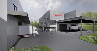 FOR RENT A NEW INDUSTRIAL BUILDING in Treffen, Slowenien