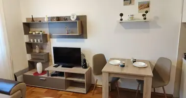 Apartamento 1 habitacion en Montenegro
