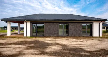 Haus in Utenen, Litauen