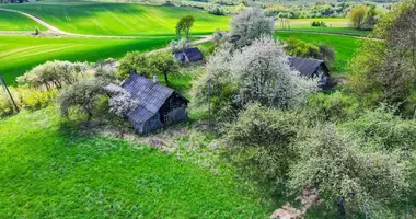 Casa en Darzininkai, Lituania