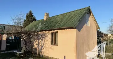 House in Telminski sielski Saviet, Belarus