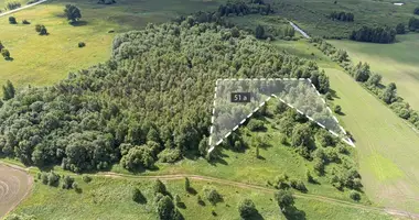 Plot of land in Vitasiai, Lithuania