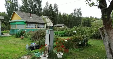 Haus in Piarezyrski sielski Saviet, Weißrussland