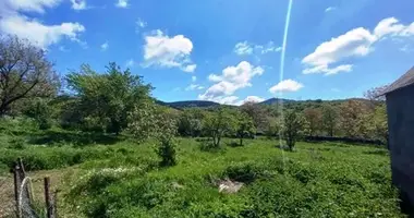 Plot of land in abrameti, Georgia