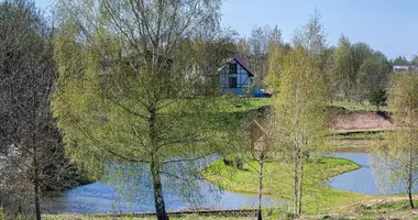 Terrain dans Vilnius, Lituanie