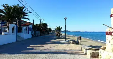 Terrain dans Polychrono, Grèce