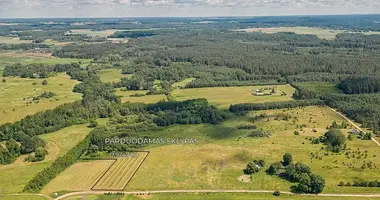 Plot of land in Vikonys, Lithuania