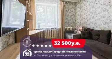 Wohnung 1 Zimmer in Pyatryshki, Weißrussland