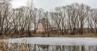 Casa en Piatryskauski sielski Saviet, Bielorrusia