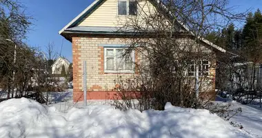 House in Rakauski sielski Saviet, Belarus